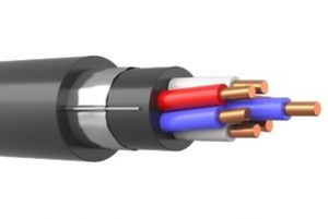Cablu CVVGEng 7х2,5